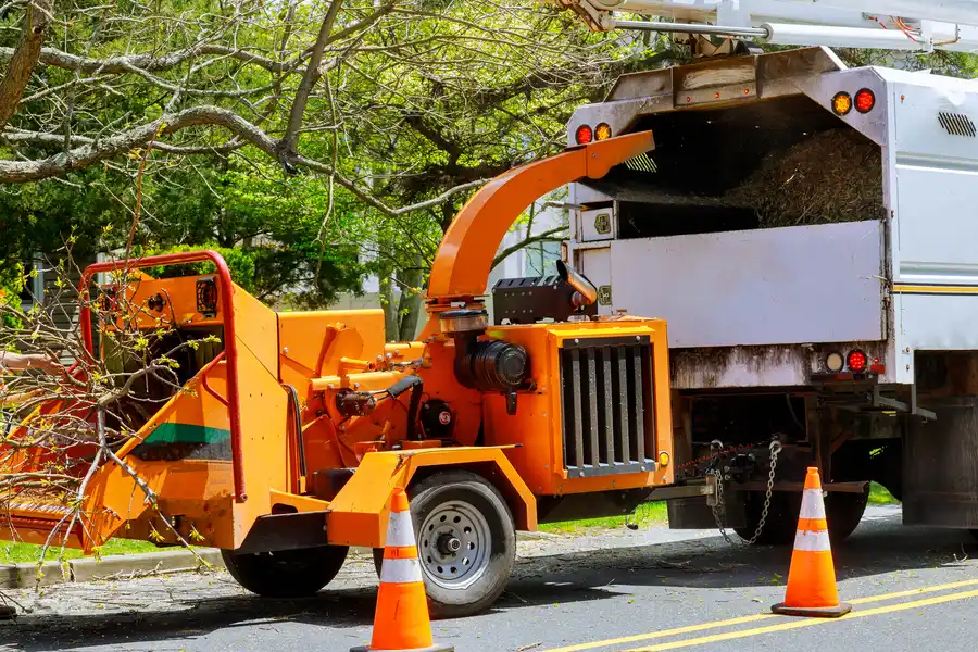 The Impact Of Tree Removal On Property Maintenance in Glenn Dale, MD