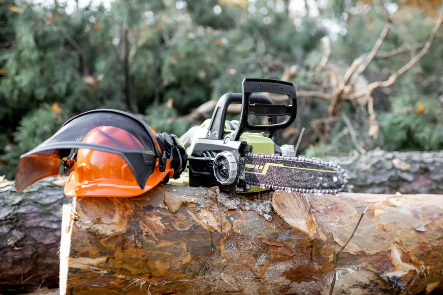 Why Tree Cutting Service Is Crucial For Utility Line Safety Glenn Dale, MD